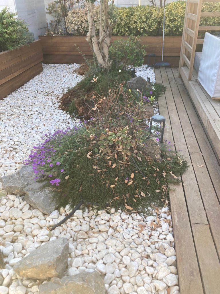 service_gallery_ba (10)